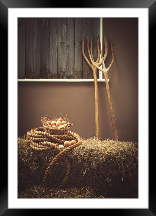 Eggs In The Barn Framed Mounted Print by Amanda Elwell