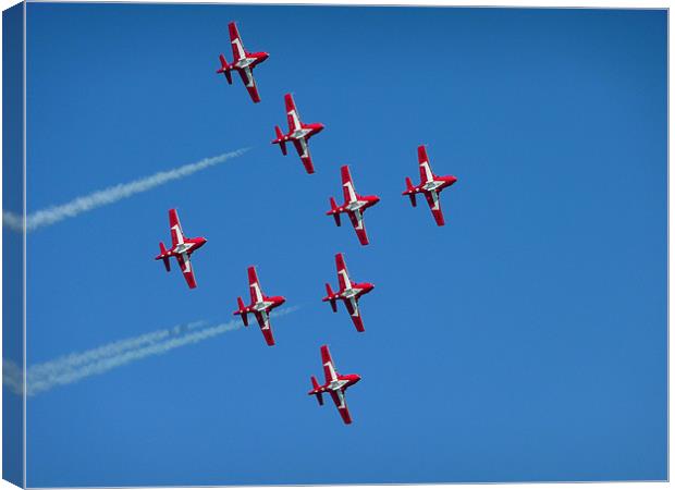 Canadian Snowbirds Canvas Print by Diane Hovey