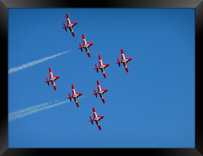 Canadian Snowbirds Framed Print by Diane Hovey