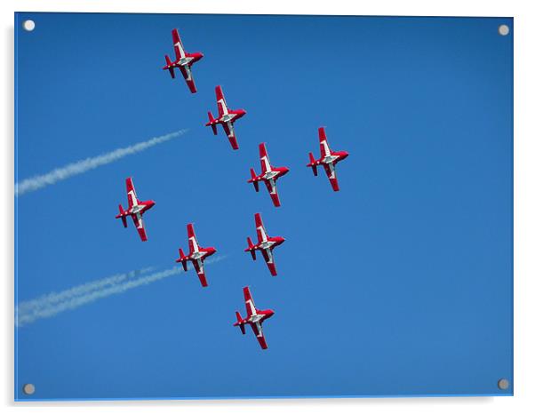 Canadian Snowbirds Acrylic by Diane Hovey