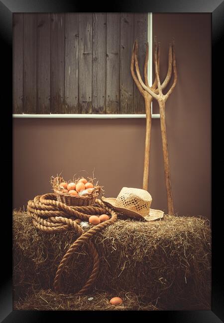 Eggs In Basket In The Barn Framed Print by Amanda Elwell