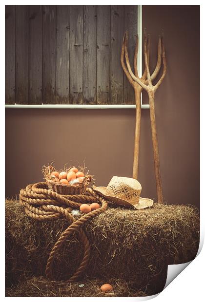 Eggs In Basket In The Barn Print by Amanda Elwell