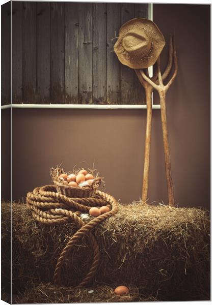 Eggs In The Barn With Pitch Forks Canvas Print by Amanda Elwell