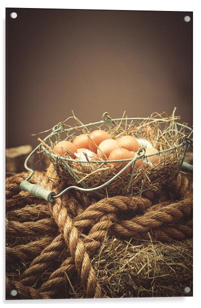 Eggs In The Barn Acrylic by Amanda Elwell