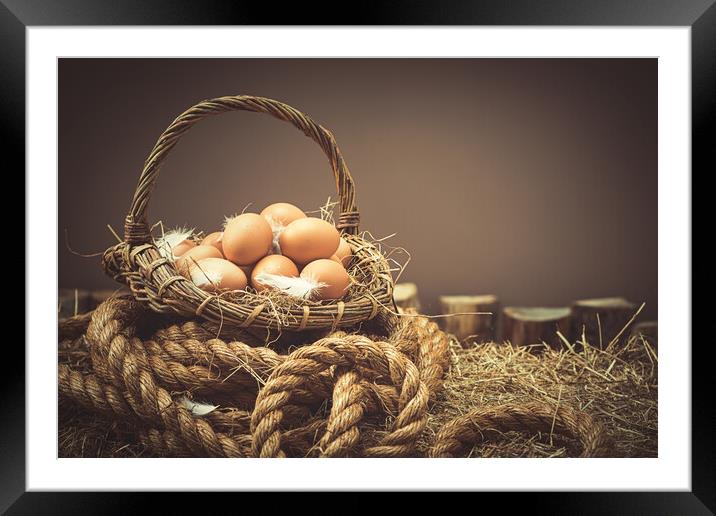 Fresh Eggs Framed Mounted Print by Amanda Elwell