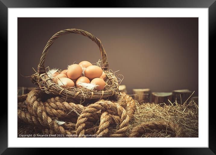 Fresh Eggs Framed Mounted Print by Amanda Elwell