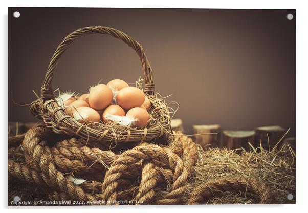 Fresh Eggs Acrylic by Amanda Elwell