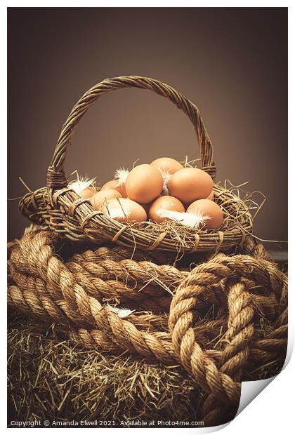 Freshly Laid Eggs Print by Amanda Elwell
