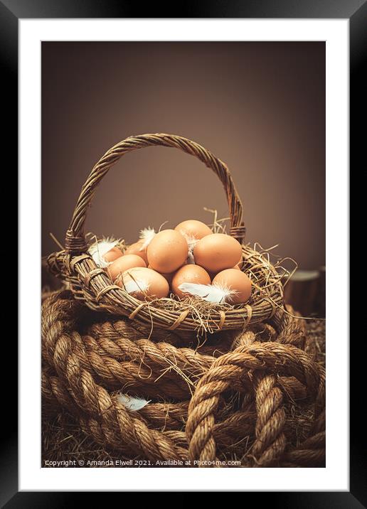 Eggs Framed Mounted Print by Amanda Elwell