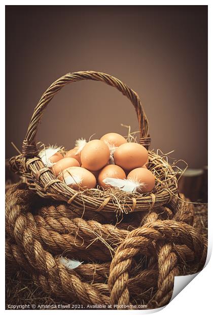 Eggs Print by Amanda Elwell