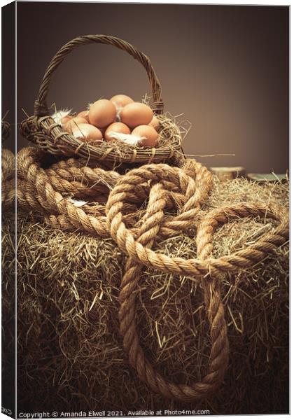 Eggs In Basket Canvas Print by Amanda Elwell