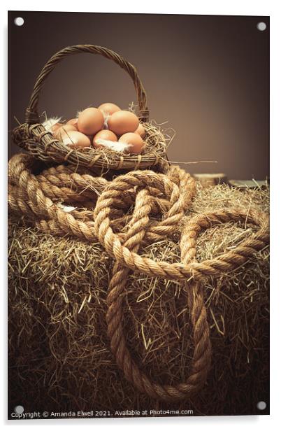 Eggs In Basket Acrylic by Amanda Elwell