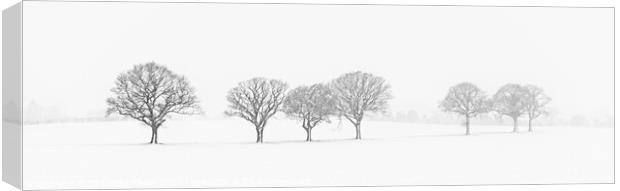 Tree Line In The Snow Canvas Print by Amanda Elwell