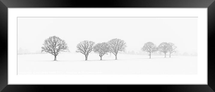 Tree Line In The Snow Framed Mounted Print by Amanda Elwell