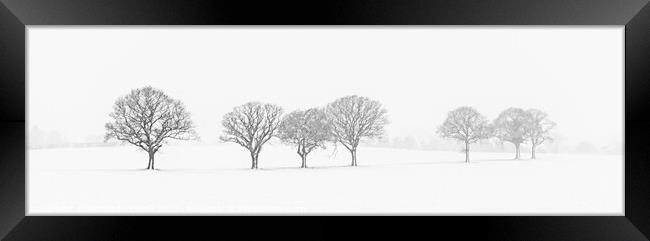 Tree Line In The Snow Framed Print by Amanda Elwell