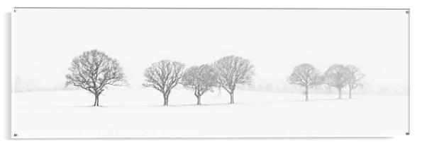 Tree Line In The Snow Acrylic by Amanda Elwell