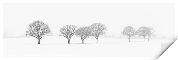 Tree Line In The Snow Print by Amanda Elwell