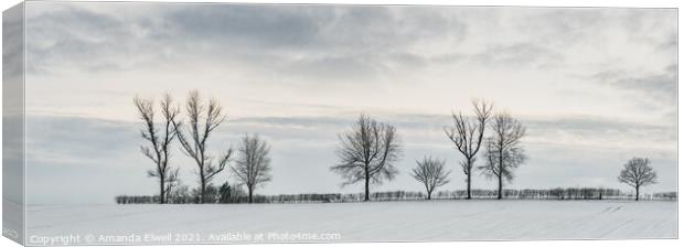 Tree Line In Snow Canvas Print by Amanda Elwell