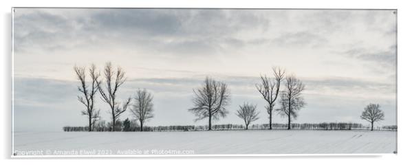 Tree Line In Snow Acrylic by Amanda Elwell