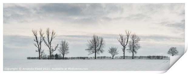 Tree Line In Snow Print by Amanda Elwell