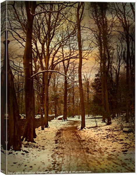  A Winters Walk Canvas Print by Heather Goodwin
