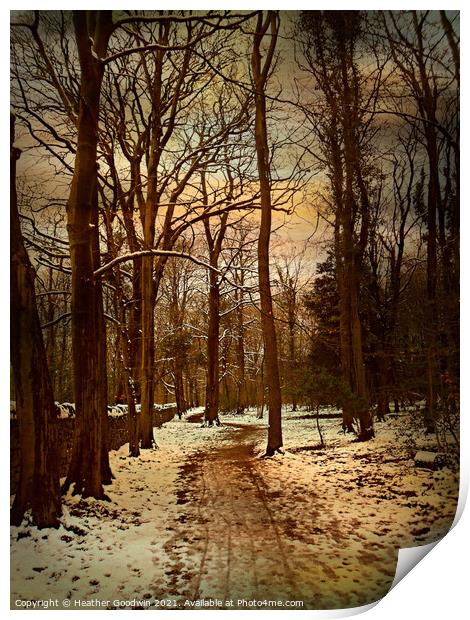  A Winters Walk Print by Heather Goodwin