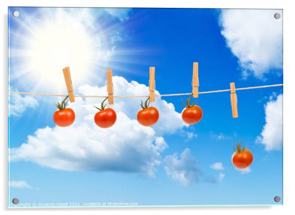 Sun Dried Tomatoes Acrylic by Amanda Elwell