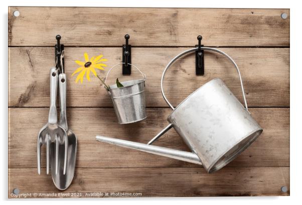Garden Tools Acrylic by Amanda Elwell