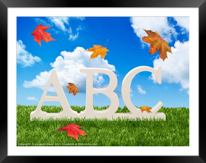 ABC Letters With Autumn Leaves Framed Mounted Print by Amanda Elwell