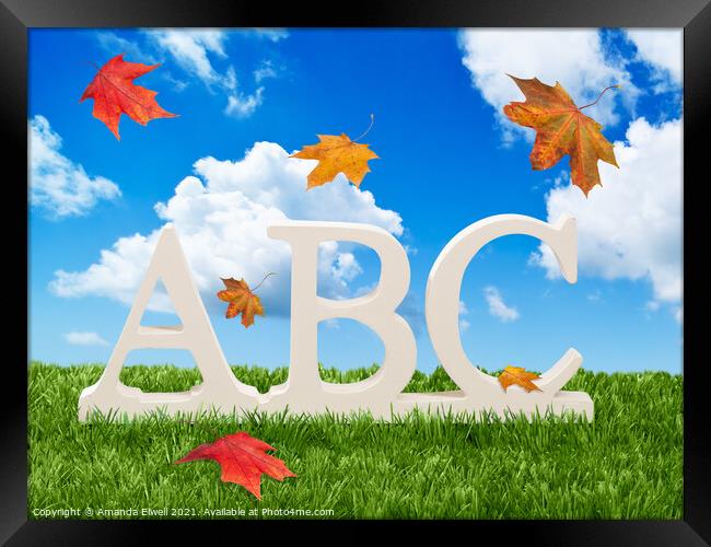ABC Letters With Autumn Leaves Framed Print by Amanda Elwell
