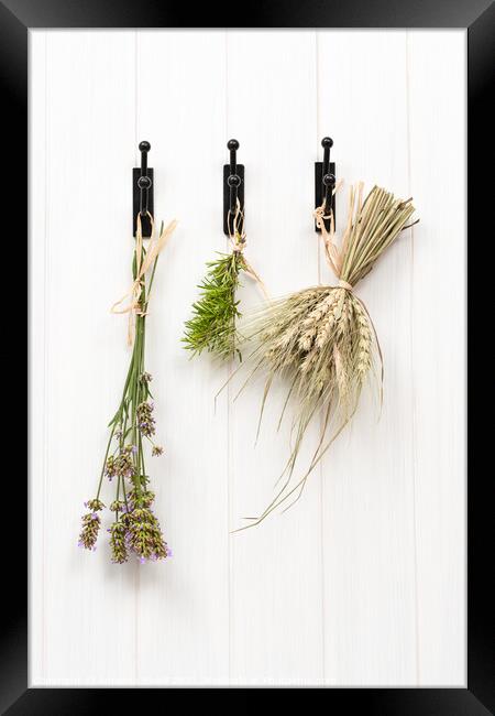 Drying Herbs & Lavender Framed Print by Amanda Elwell