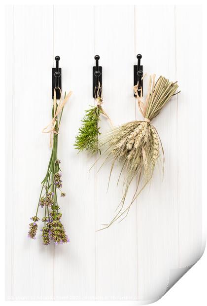 Drying Herbs & Lavender Print by Amanda Elwell