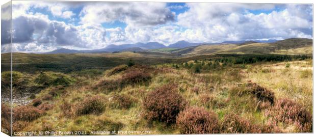 Looking Acroos to The Rhinogs Mountain Range, Nort Canvas Print by Philip Brown