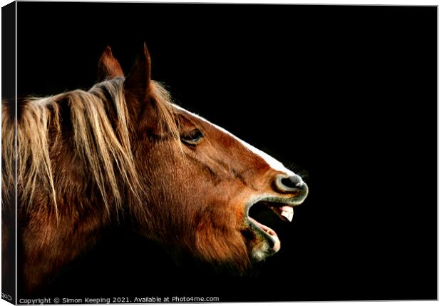 BRAYING HORSE Canvas Print by Simon Keeping