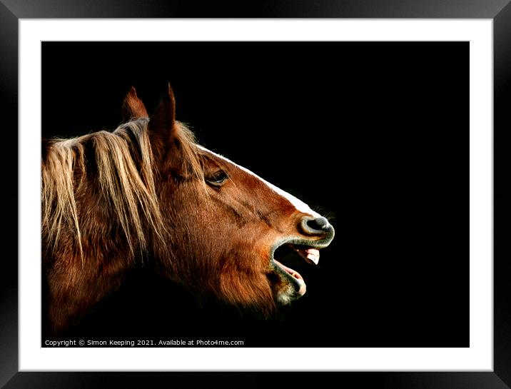 BRAYING HORSE Framed Mounted Print by Simon Keeping