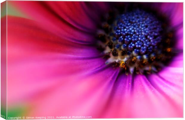 FLOWER CLOSE-UP Canvas Print by Simon Keeping