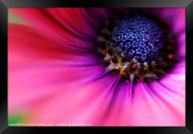 FLOWER CLOSE-UP Framed Print by Simon Keeping