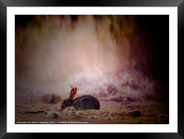 RABBIT IN ORCHARD Framed Mounted Print by Simon Keeping