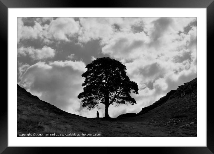 Sycamore Gap, Alone with a Tree Framed Mounted Print by Jonathan Bird