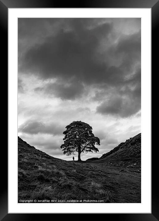 Sycamore Gap, In the Scale of Things Framed Mounted Print by Jonathan Bird