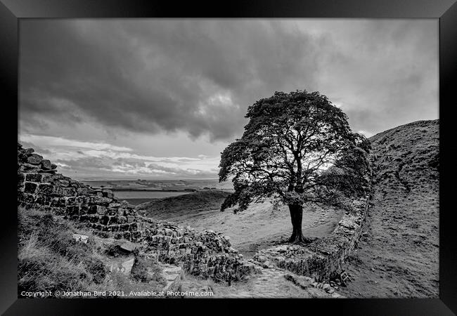 Sycamore Gap, View to the North Framed Print by Jonathan Bird