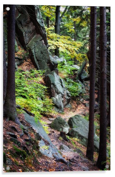 Narrow Footpath in Mountain Forest  Acrylic by Artur Bogacki
