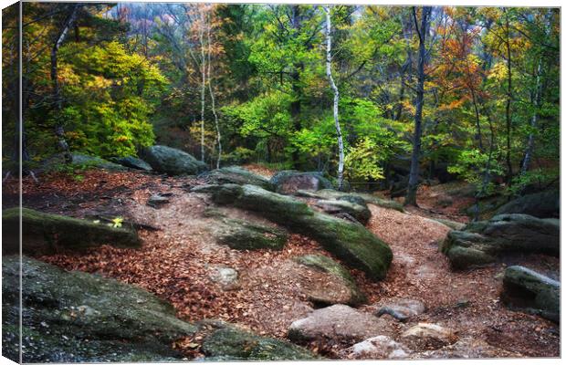 Clearing In Autumn Mountain Forest Canvas Print by Artur Bogacki