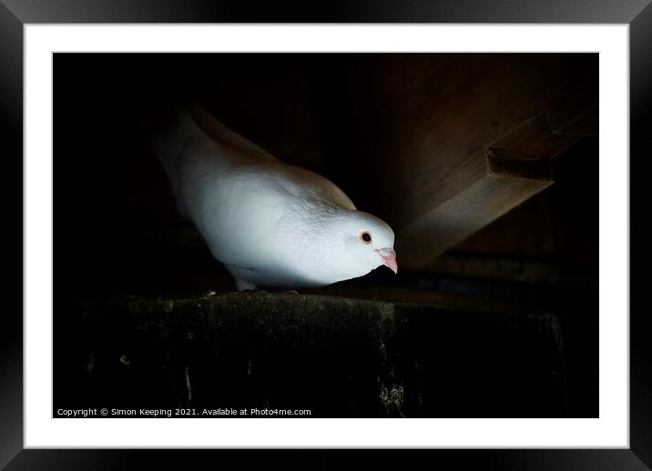 DOVE FROM ABOVE Framed Mounted Print by Simon Keeping