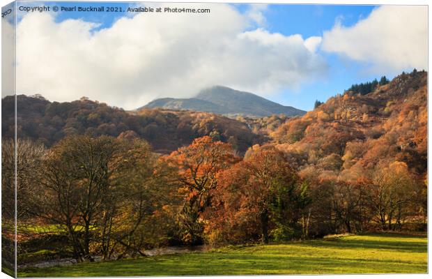 Moel Siabod in Autumn Canvas Print by Pearl Bucknall