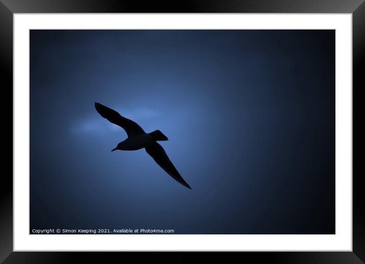 SEAGUL IN FLIGHT Framed Mounted Print by Simon Keeping
