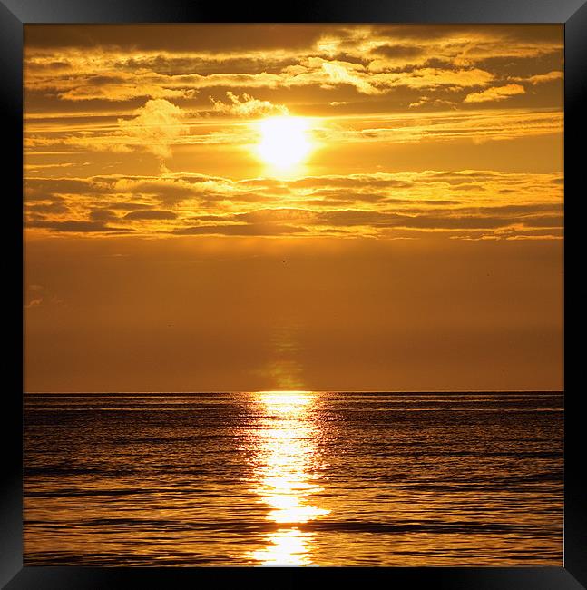 Golden Sunset Framed Print by andrew bowkett