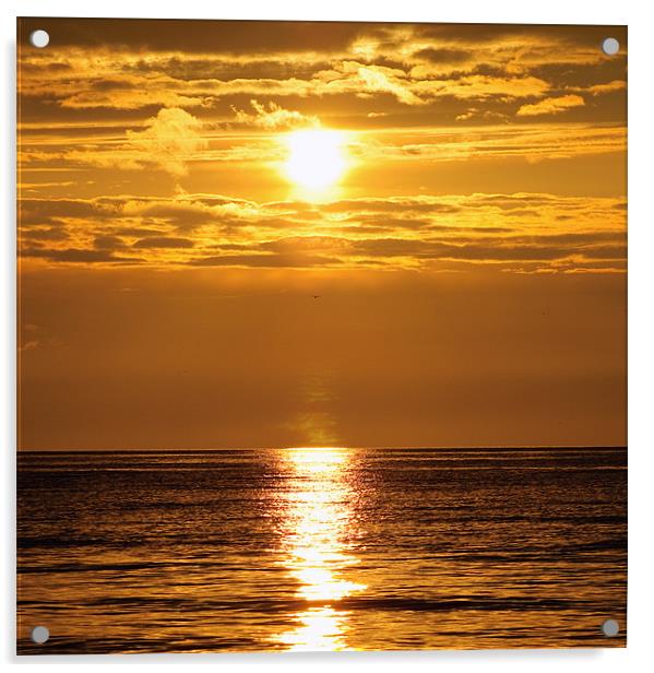 Golden Sunset Acrylic by andrew bowkett