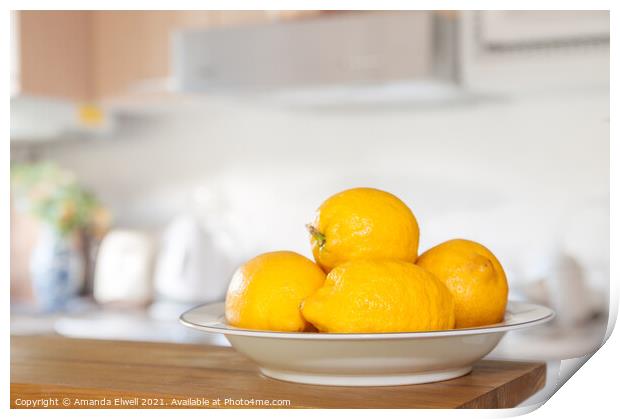 Freshly Picked Lemons Print by Amanda Elwell