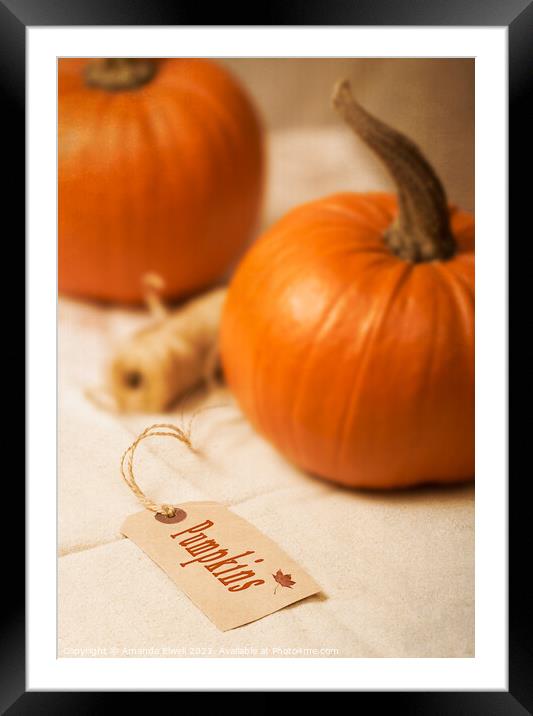 Pumpkin Label Framed Mounted Print by Amanda Elwell